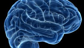 Neuroanatomía Descriptiva del Encéfalo y su Implicación Clínica.