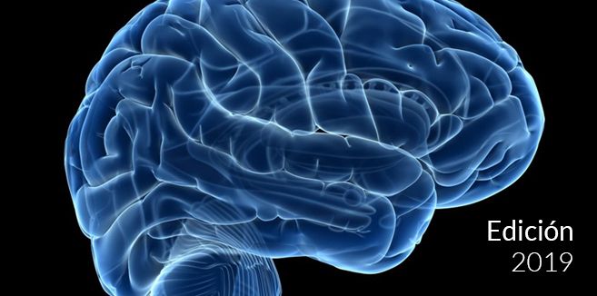 Neuroanatomía Descriptiva del Encéfalo y su Implicación Clínica. 2019